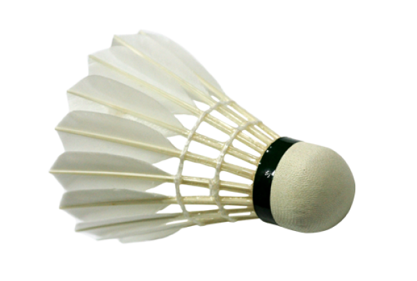download badminton image