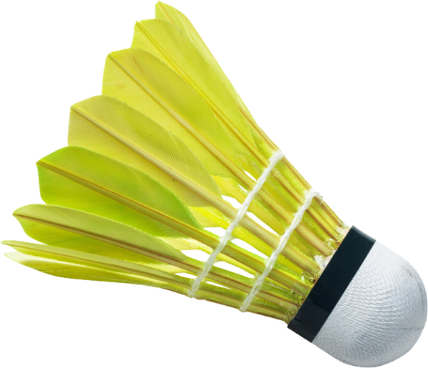 download badminton PNG