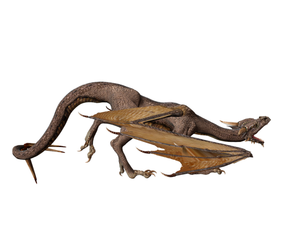 dragon 3d art
