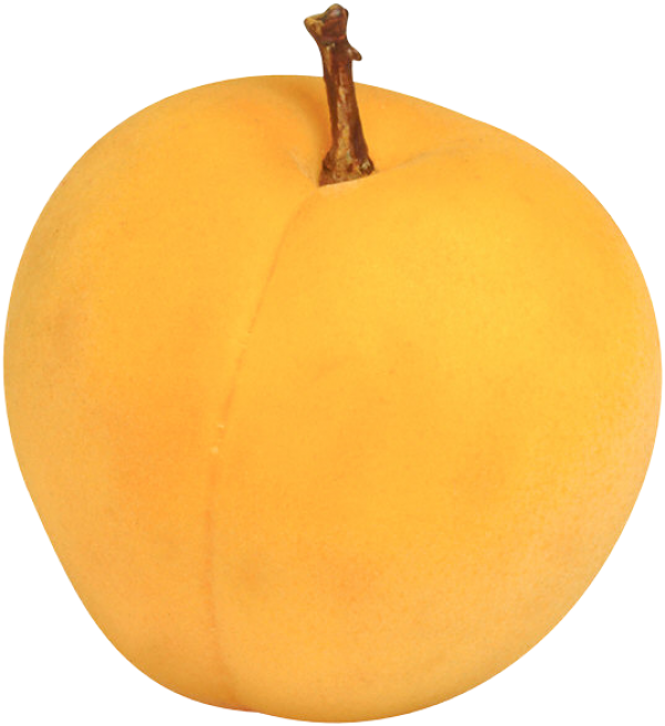 Drawn Apricot Png Clipart