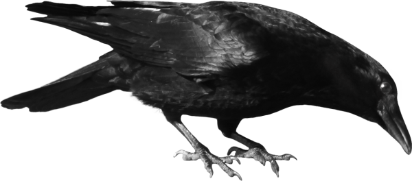 Drinking Water Png