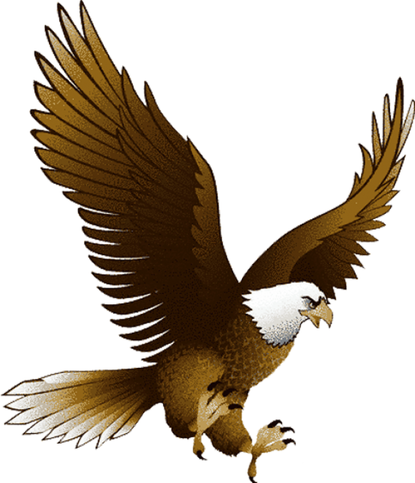 eagel png free download 16