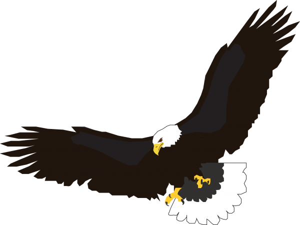 eagel png free download 18