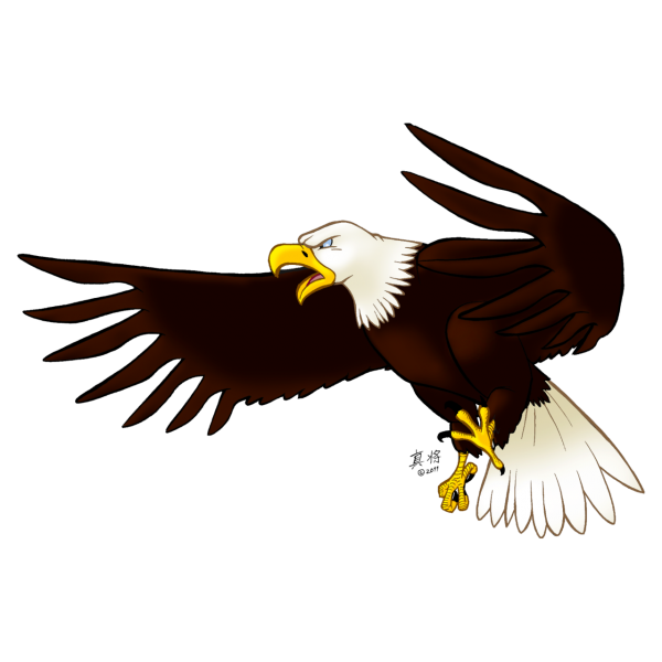 eagel png free download 4