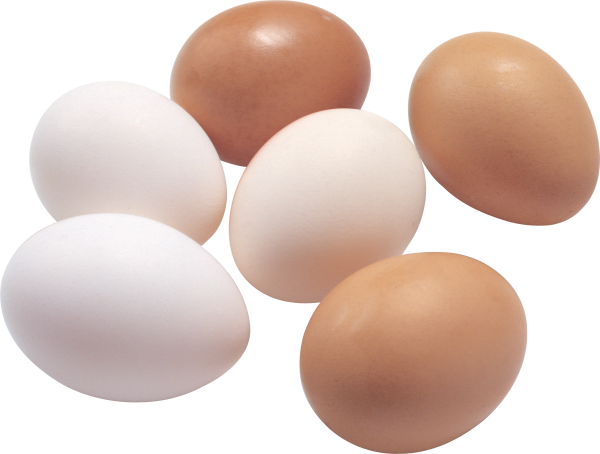 egg png free download 28