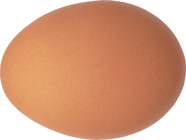 egg png free download 3