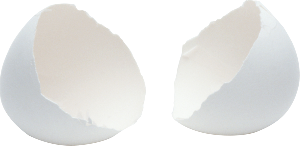 egg png free download 31