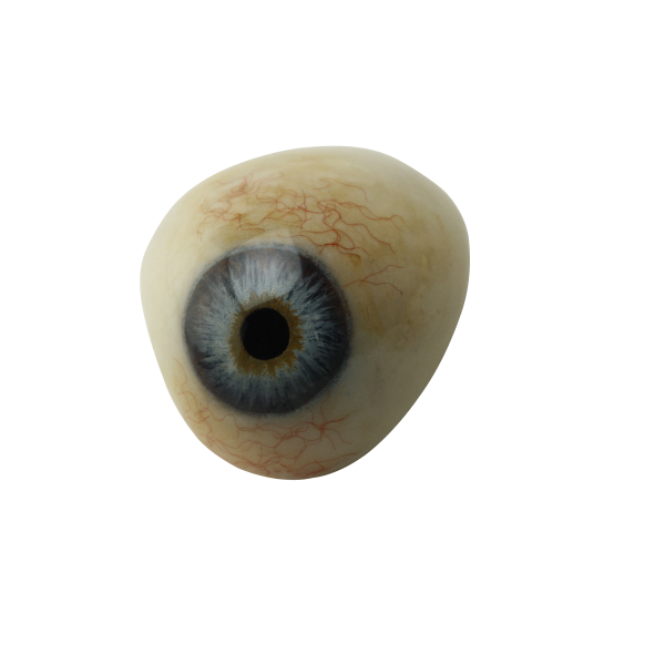 eye png free download 2