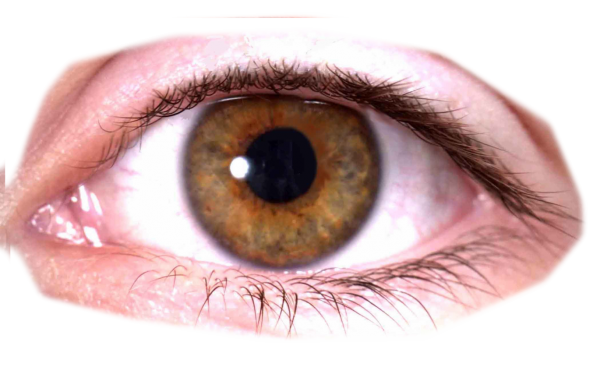 eye png free download 7