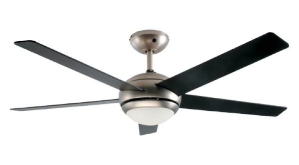 Fan Image Download