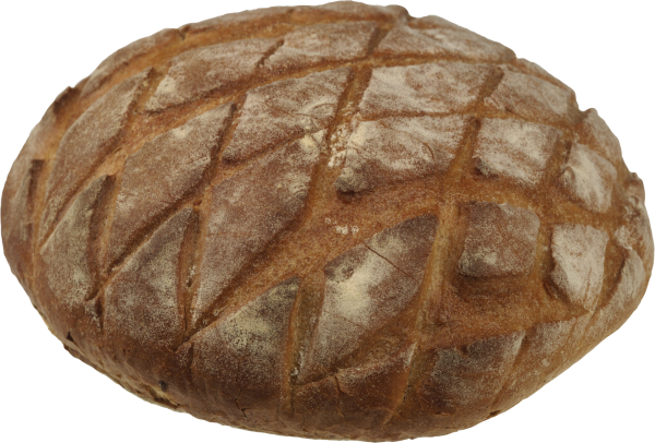 fancy cut round breed  free png image download