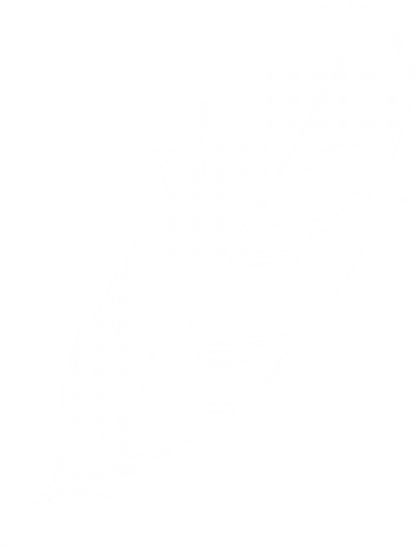 Feather clipart logo image download