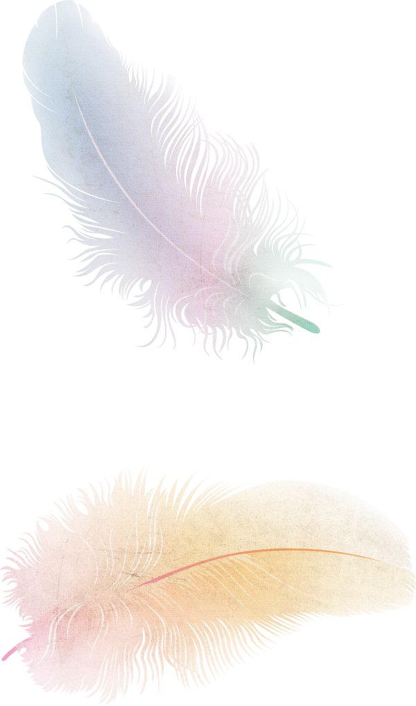 Feather Free Png Download