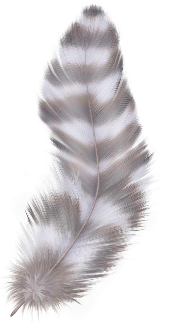 Feather Png