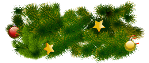 Fir Tree Free PNG Image Download 12