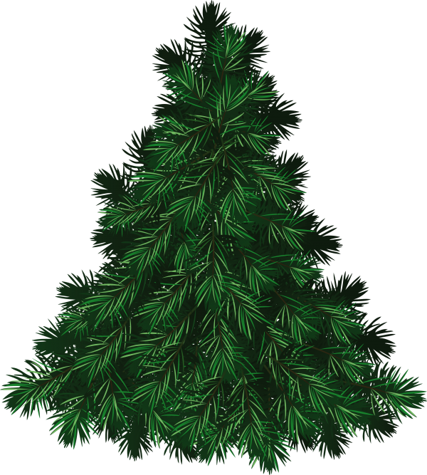 Fir Tree Free PNG Image Download 37