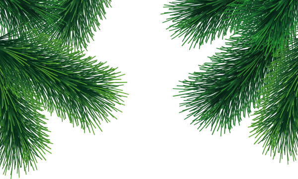 Fir Tree Free PNG Image Download 38