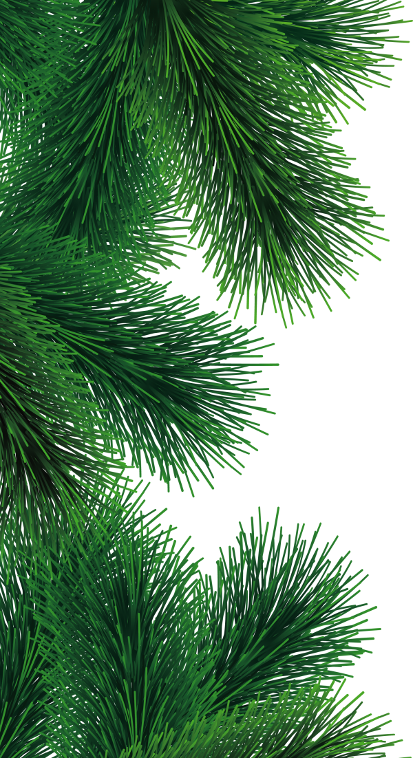 Fir Tree Free PNG Image Download 39
