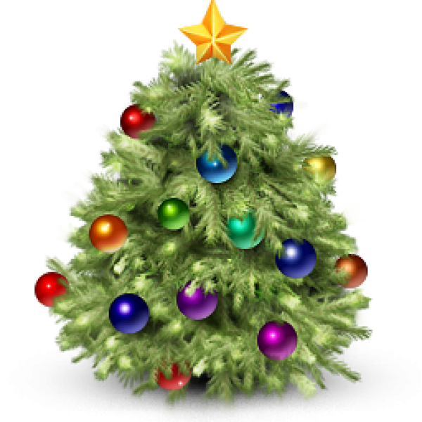 Fir Tree Free PNG Image Download 4