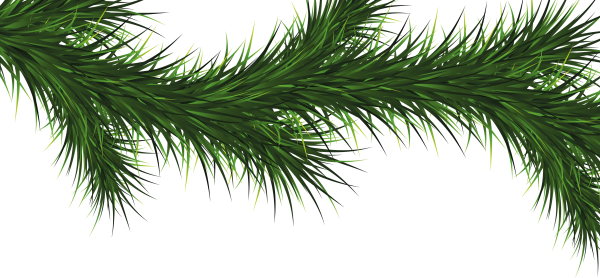 Fir Tree Free PNG Image Download 41