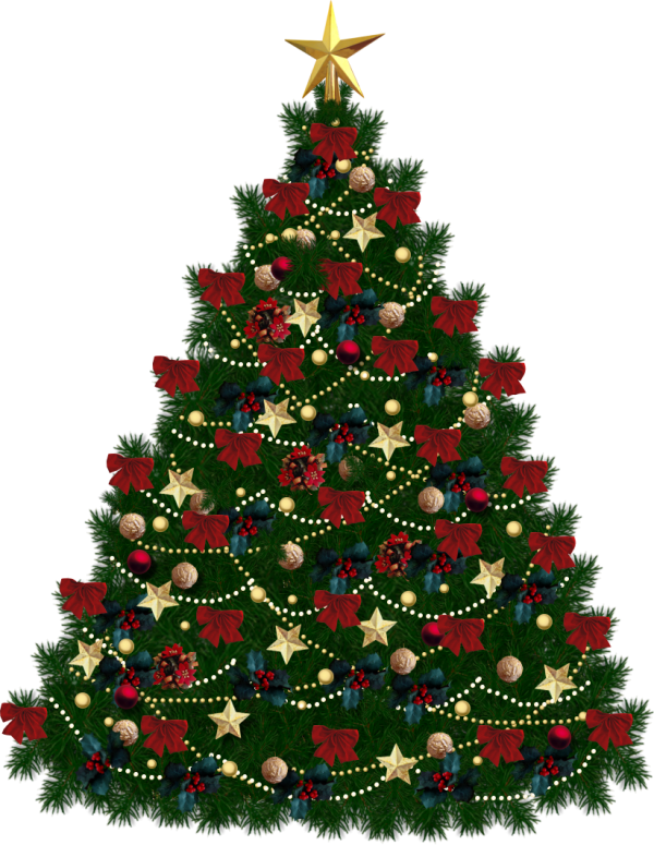 Fir Tree Free PNG Image Download 9