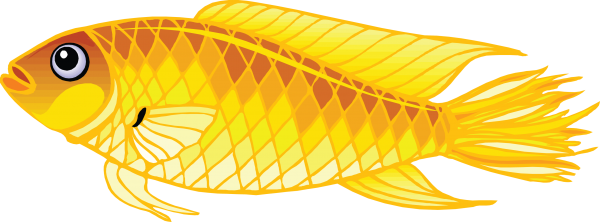 Fish Free PNG Image Download 10