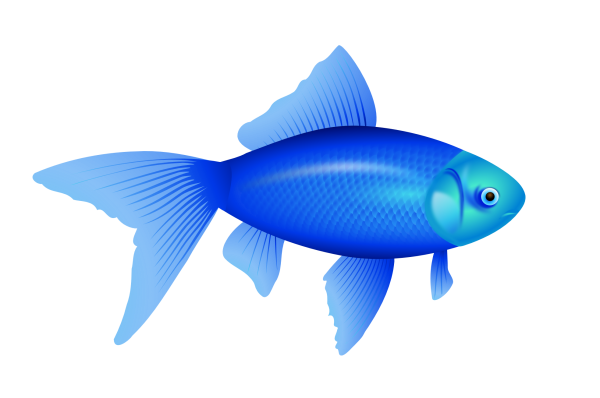 Fish Free PNG Image Download 18