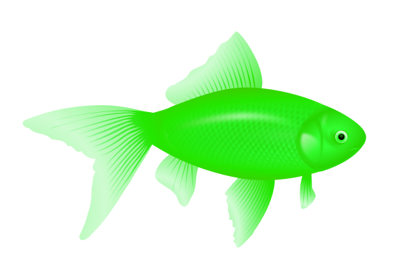 Fish Free PNG Image Download 27