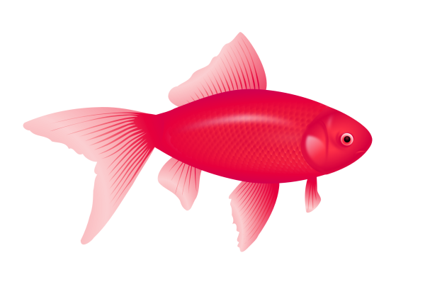 Fish Free PNG Image Download 29