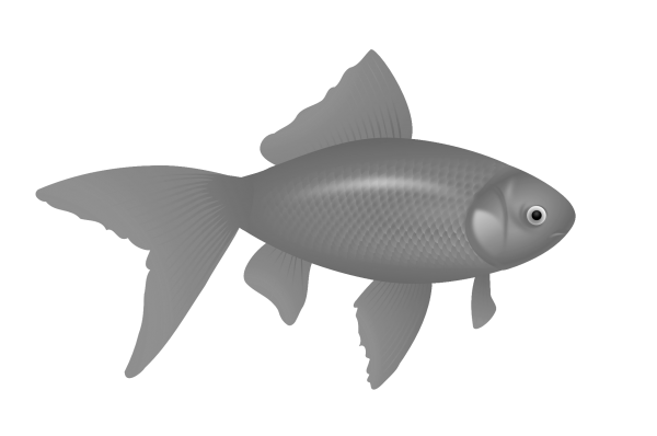 Fish Free PNG Image Download 30