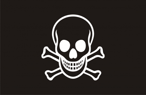 Flags Free PNG Image Download 125