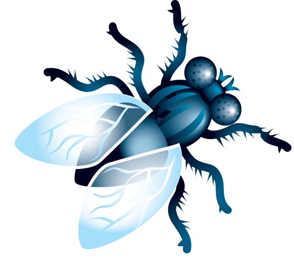 Fly Free PNG Image Download 13