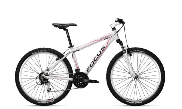 focus bicycle free png image download