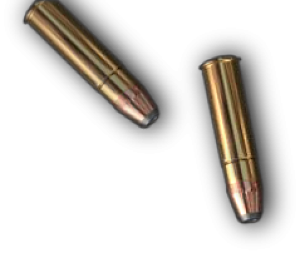 free download bullet download