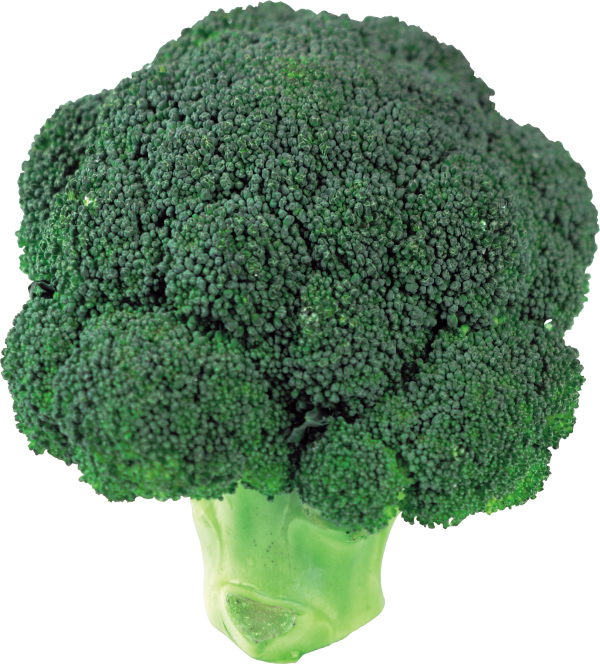 full green broccoil free png download