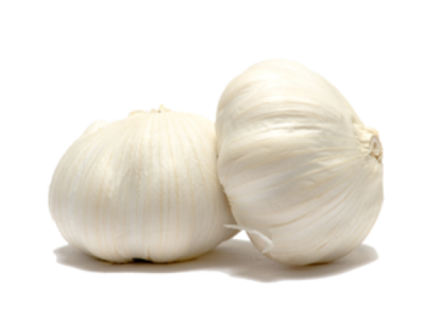 Garlic Free PNG Image Download 18