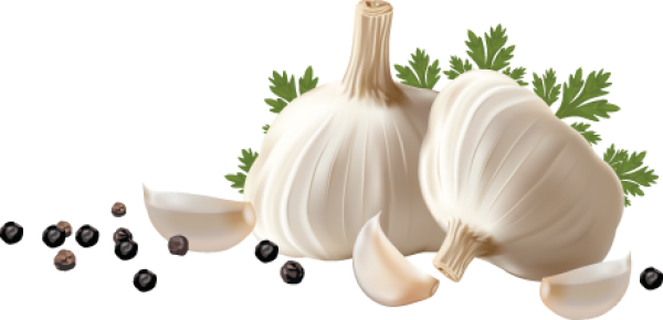 Garlic Free PNG Image Download 27