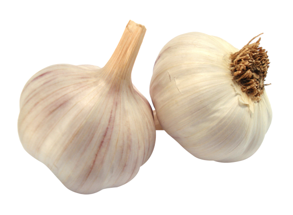 Garlic Free PNG Image Download 32