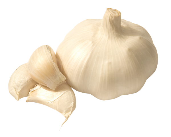 Garlic Free PNG Image Download 33
