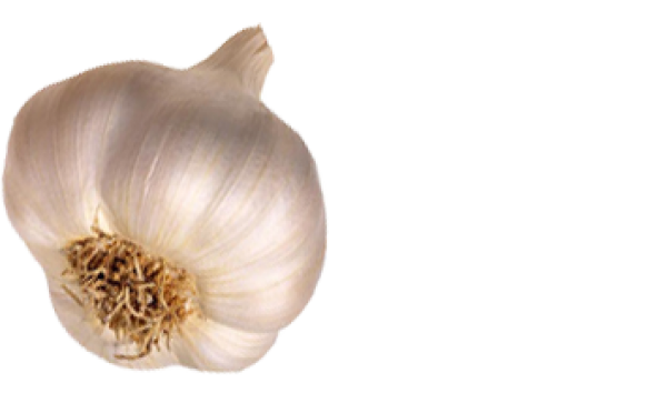 Garlic Free PNG Image Download 37