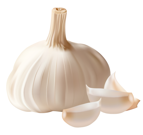 Garlic Free PNG Image Download 38