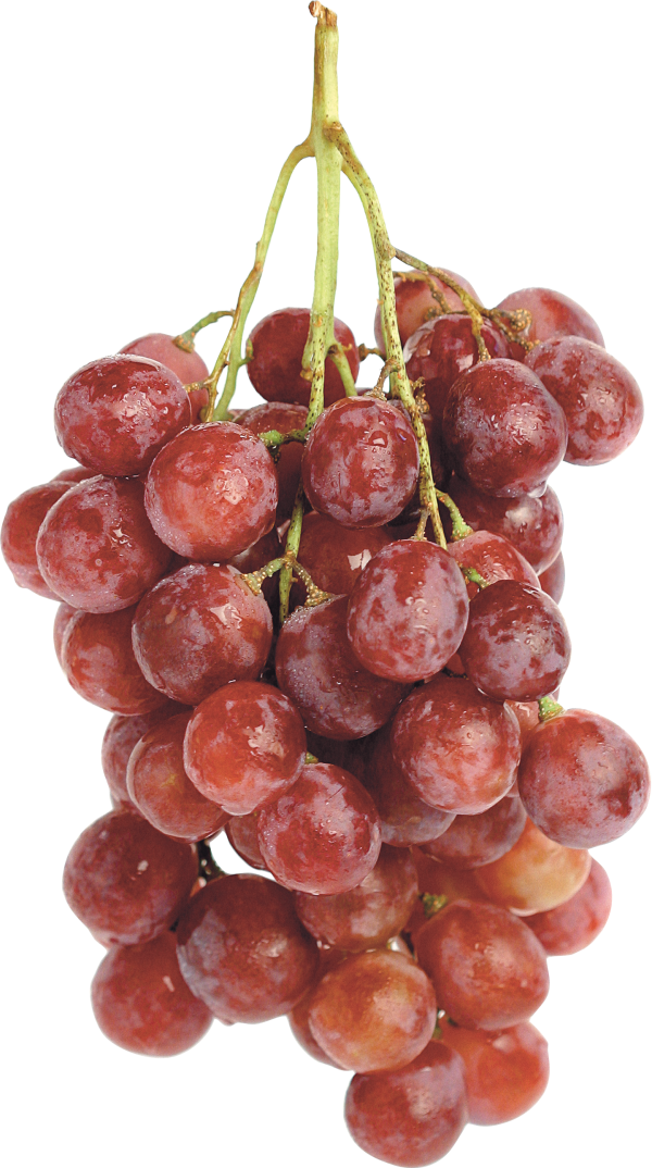 Grape Free PNG Image Download 10