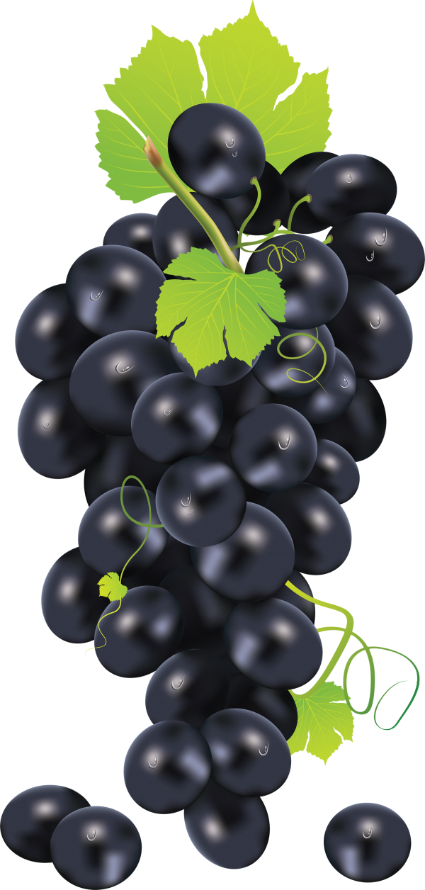 Grape Free PNG Image Download 11
