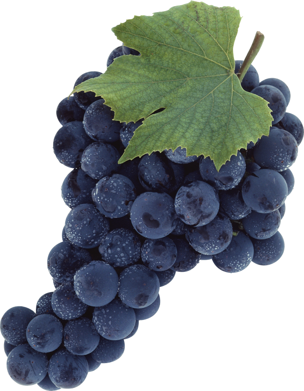 Grape Free PNG Image Download 13