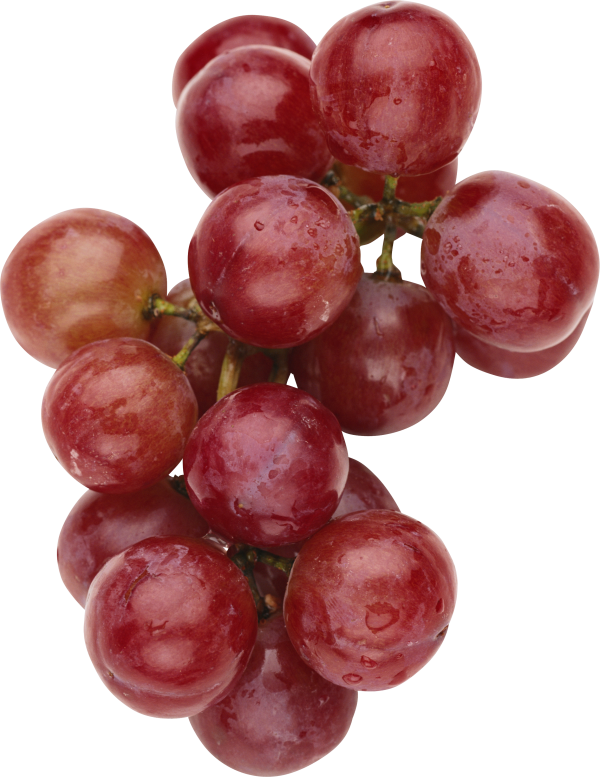 Grape Free PNG Image Download 14
