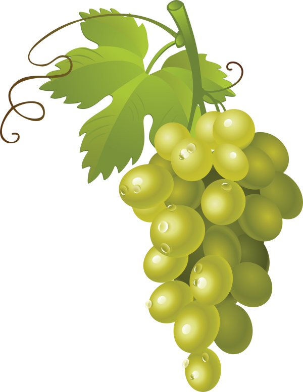 Grape Free PNG Image Download 17