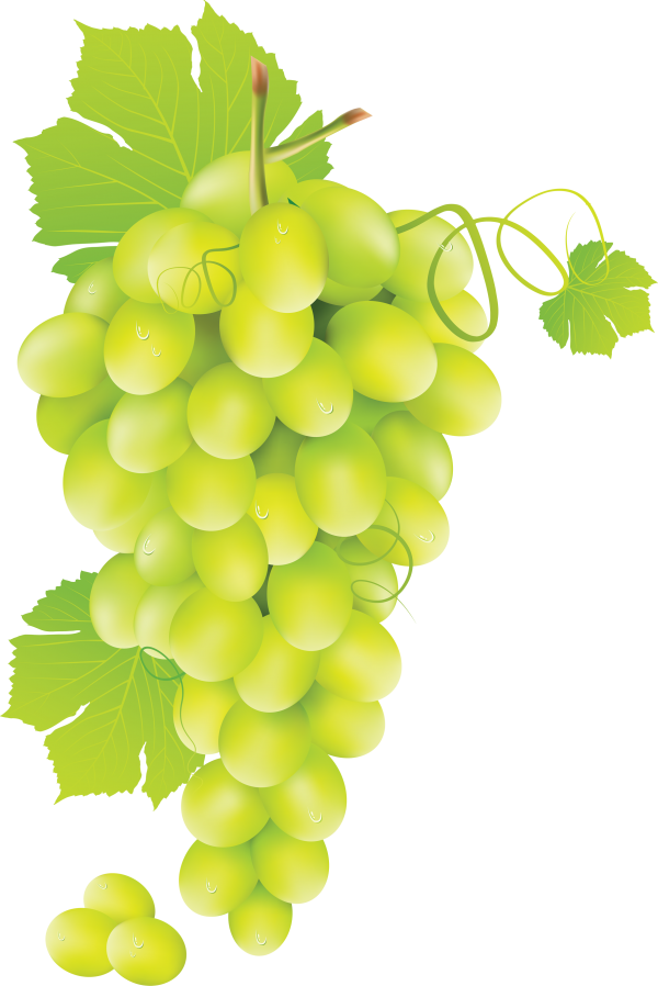 Grape Free PNG Image Download 19