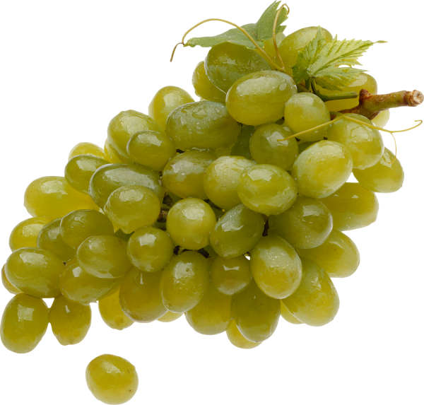 Grape Free PNG Image Download 27