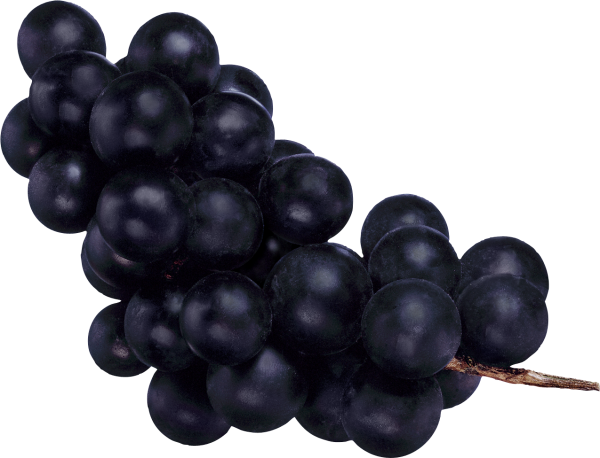 Grape Free PNG Image Download 28