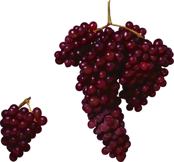 Grape Free PNG Image Download 30